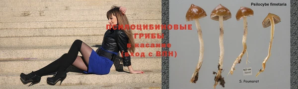 мдпв Беломорск