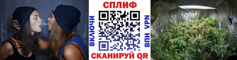 купить наркотики сайты  Семилуки  Бошки марихуана VHQ 